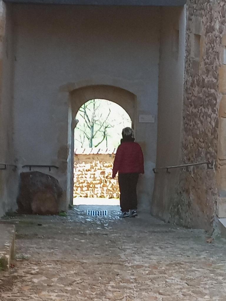 Semur-en-Brionnais Gite De Belle Vue מראה חיצוני תמונה